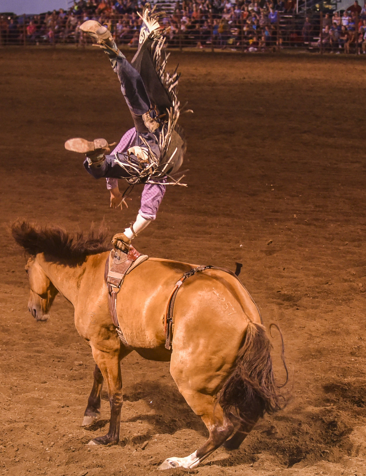 081619-mda-nws-rodeo-42.jpg